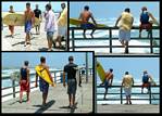 (10) montage of wussies (misc pier shots).jpg    (1000x720)    360 KB                              click to see enlarged picture
